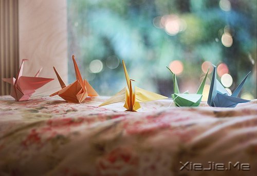 早安心语：安慰别人的话，终究安慰不了自己 (10)