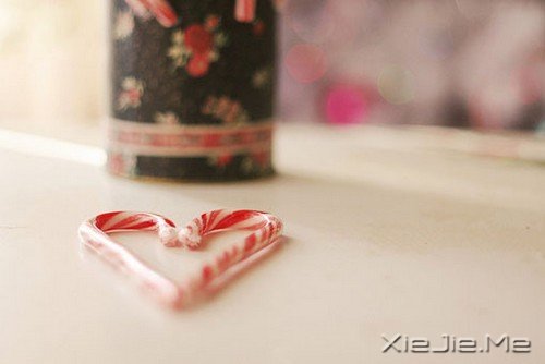 爱情是灯，友情是影子